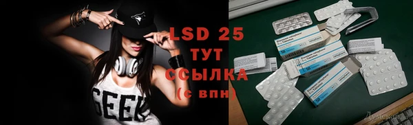 ALPHA PVP Покров