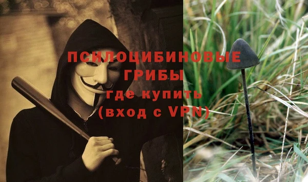 spice Пролетарск